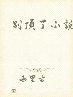 别顶了小说