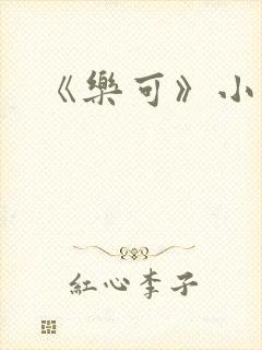 《乐可》小说