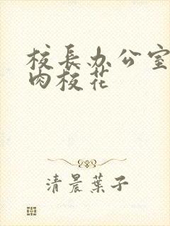 校长办公室里狂肉校花
