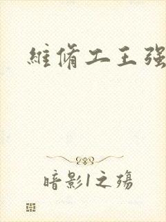 维修工王强张婷封面