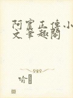 阿宾正传小说全文笔趣阁