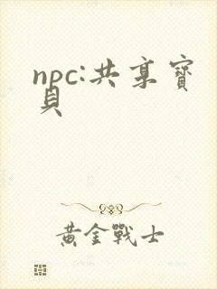 npc:共享宝贝