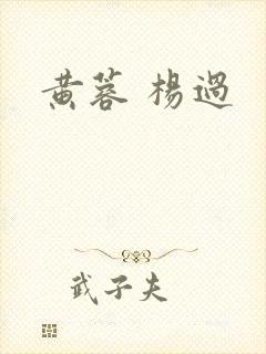 黄蓉 杨过