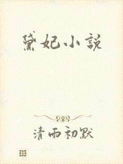 黛妃小说