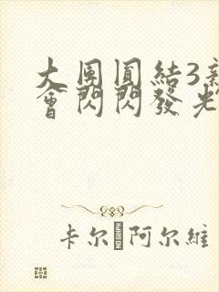 大团圆结3亲情会闪闪发光封面