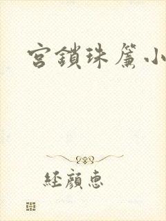宫锁珠帘小说