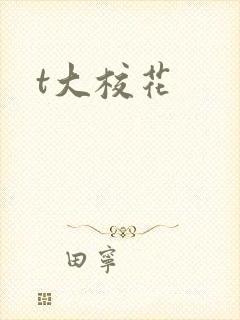 t大校花