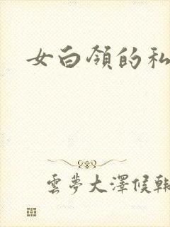 女白领的私生活封面