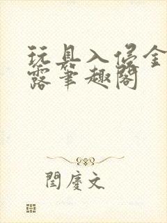 玩具入侵金银花露笔趣阁封面