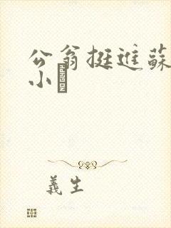 公翁挺进苏玥的小泬封面