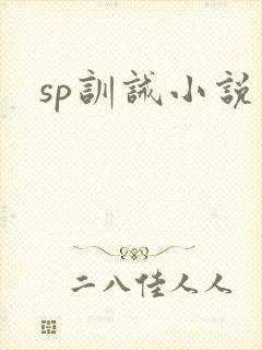 sp训诫小说