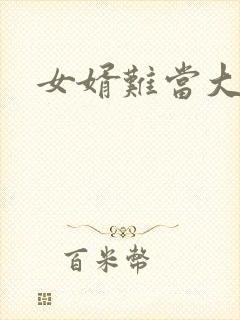 女婿难当大结局封面