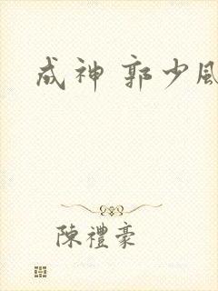 成神 郭少风封面