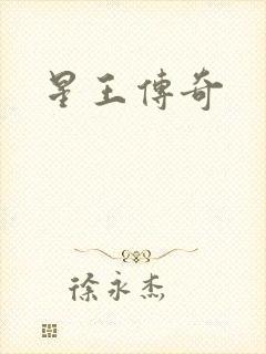 星王传奇封面