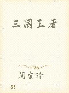三国王者