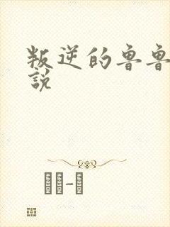 叛逆的鲁鲁修小说封面