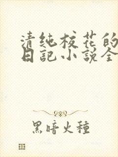 清纯校花的堕落日记小说全文免费阅读