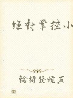 绝对掌控小说