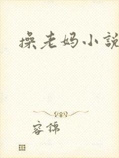 操老妈小说