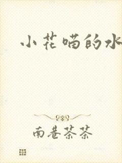小花喵的水蜜桃封面