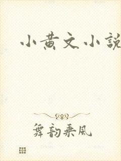 小黄文小说