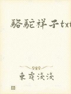 骆驼祥子txt