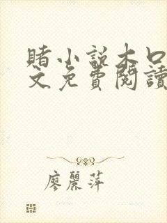 赌小说木口银全文免费阅读笔趣阁