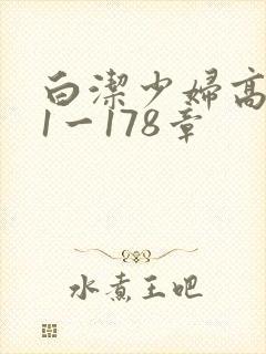 白洁少妇高义第1一178章