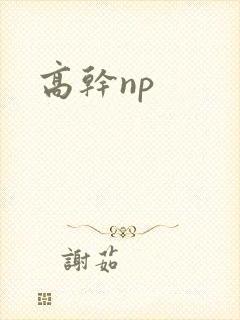 高干np