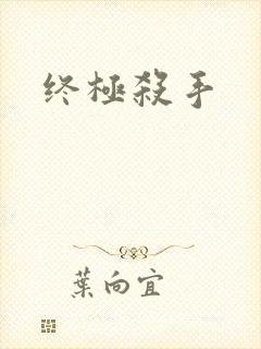 终极杀手