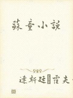 苏童小说封面