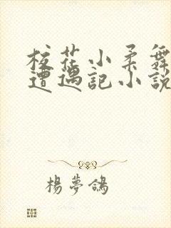 校花小柔舞蹈室遭遇记小说
