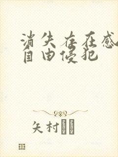 消失存在感消失自由侵犯