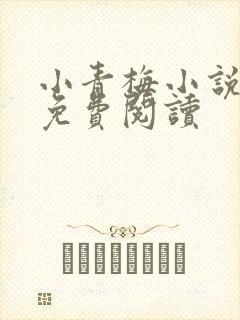 小青梅小说全文免费阅读