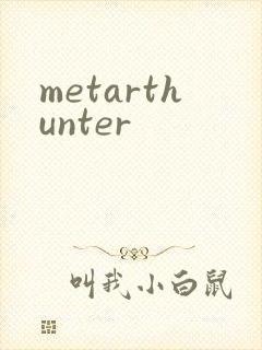 metarthunter封面