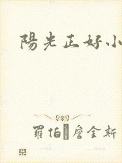 阳光正好小说