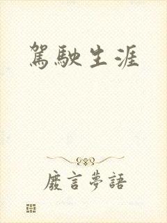 驾驶生涯