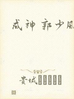 成神 郭少风封面