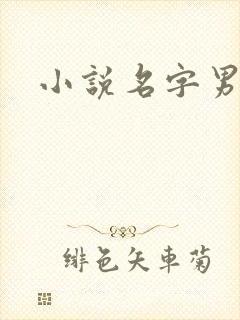 小说名字男生