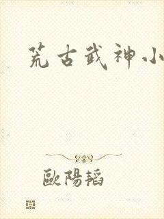 荒古武神小说
