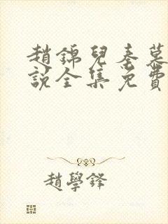 赵锦儿秦慕修小说全集免费封面