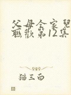 父母全家儿女大联欢第12集封面
