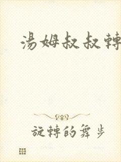 汤姆叔叔转接口