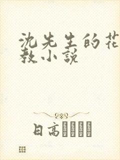 沈先生的花式管教小说