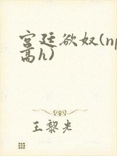 宫廷欲奴(np高h)