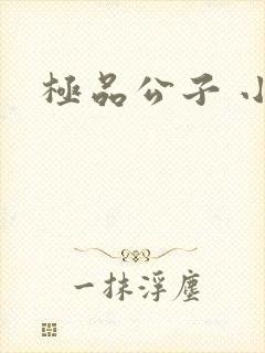 极品公子 小说