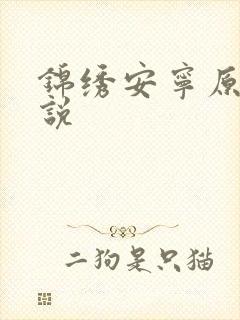 锦绣安宁原著小说