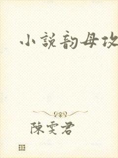 小说韵母攻略
