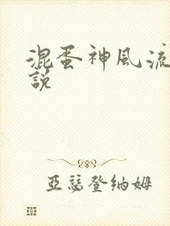 混蛋神风流史小说封面