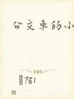 公交车的小说封面